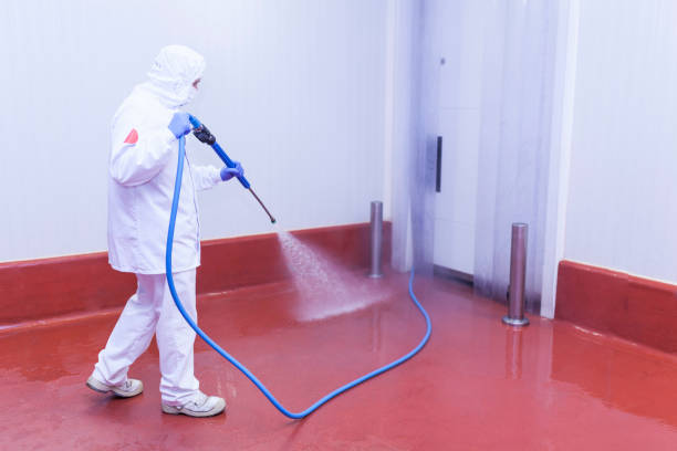 Best Pre-Holiday Cleaning  in Moon Lake, FL